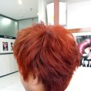 뽀끌레미용실 - 성남시 수정구 | 뽀끌레미용실
