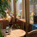 솔향기길야영장 이미지