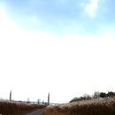 영산포홍어거리 이미지