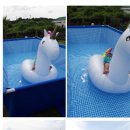 제주 호박 민박 이미지