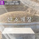 광영수의 이미지