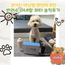 엠비엠 | 강아지액상형영양제 추천 반려수로 눈물·배변까지 관리해요