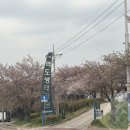 김해공항 근처 무료주차 꿀팁 맥도생태공원 + 택시비 후기