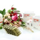 방어진순환도로L 이미지