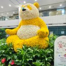 빛(꽃)의정원 이미지