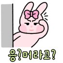 푸드라운지 이미지