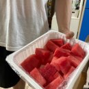 레인PC방 이미지