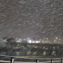 천변카센타 이미지