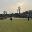 강민골프