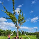 대저어린이집 이미지