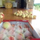 월랑농장 이미지