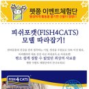 포캣 이미지