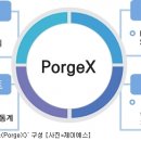 포지전자 이미지