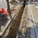 한농종묘사 이미지