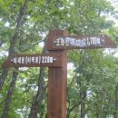 이정표 이미지