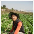 비암농장 이미지