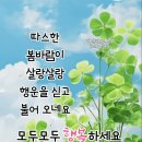 경상도말의 놀라운 압축능력(배추 아작내는 댕댕이) 이미지