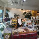 국원초등학교 이미지