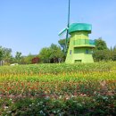 (학습카페-서구 비산점)역사와 지리로 보는 대구 이야기 | 생생 골목 정원 가꾸기