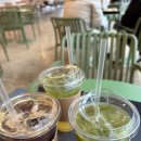 소길동백