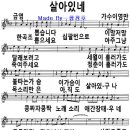 영주카부분정비 이미지