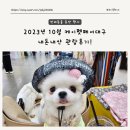 경북자연과학고등학교 | [펫박람회] 2023 케이펫페어대구 내돈내산 금요일 오픈런 관람후기!