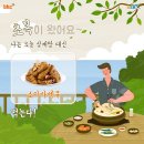 치킨어때