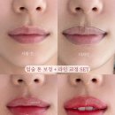 프롬메이 이미지