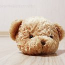 인형세상 이미지