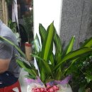 뼈다귀천국(운천점) 이미지