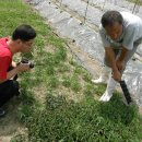 참농농장 이미지