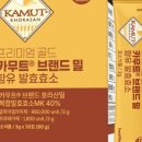 효소빅토리아