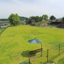 수내동파크골프장 이미지