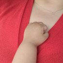 스피드카랜드 이미지