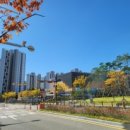 밝은미래공인중개사사무소 이미지