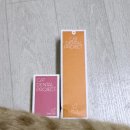 고양이 치주염 관리 : 고양이 치약 "캣디피" 추천🦷