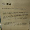 명동역사문화투어 이미지