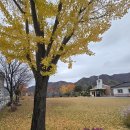 어서와~이런 진로수업은 처음이지? | 11월, 최고, 새들은 어서 와요, 인생은, 가을 잔상, 행복의 셈법 외