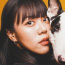 오디너리 컨셉트