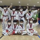 신흥 태권도 이미지
