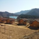 부동농장2 이미지