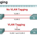 [2020 0422 "오키" ] 홈네트워크 망구성- Trunking 또는 Tagging , 802.1q 이미지