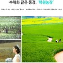 창건농장2 이미지