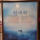 서울숲 씨어터에서 공연도 보고 산책도 하고 밥도 먹고