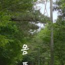 진식목장 Daum카페