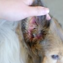 반여착한동물병원 이미지