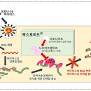 넘버원약국 이미지