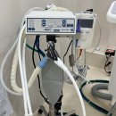 365포천시카고치과의원 이미지