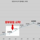 다고치네 네이버블로그