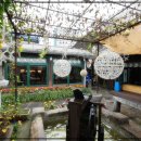 안국온누리약국 이미지